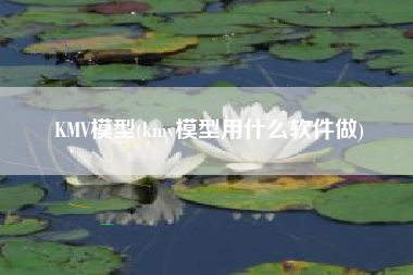 KMV模型(kmv模型用什么软件做)