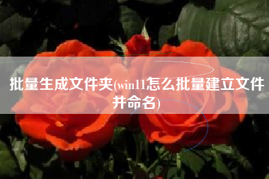 批量生成文件夹(win11怎么批量建立文件并命名)