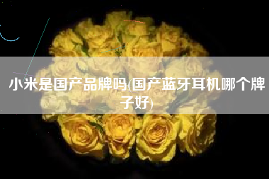 小米是国产品牌吗(国产蓝牙耳机哪个牌子好)