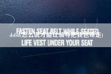 dsfsd(怎么说才能让领导把我也带走)