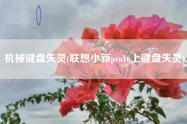 机械键盘失灵(联想小新pro16上键盘失灵)