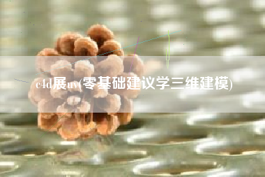 c4d展uv(零基础建议学三维建模)