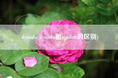 dymola(dymola和matlab的区别)