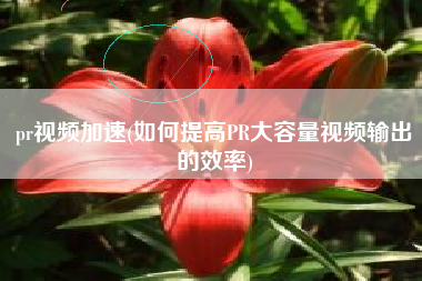 pr视频加速(如何提高PR大容量视频输出的效率)