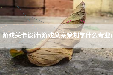 游戏关卡设计(游戏文案策划学什么专业)