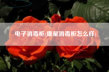 电子消毒柜(康星消毒柜怎么样)