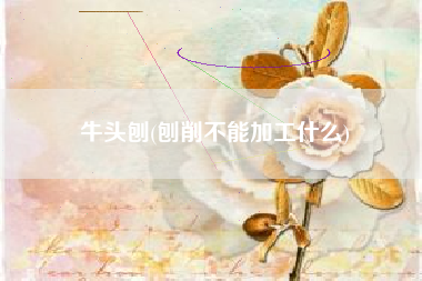 牛头刨(刨削不能加工什么)