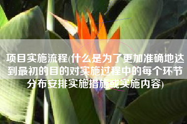 项目实施流程(什么是为了更加准确地达到最初的目的对实施过程中的每个环节分布安排实施措施或实施内容)