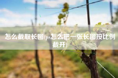 怎么截取长图(ps怎么把一张长图按比例截开)