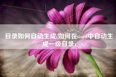 目录如何自动生成(如何在word中自动生成一级目录)