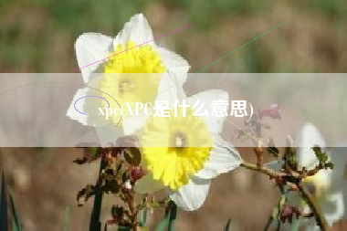 xpc(XPC是什么意思)