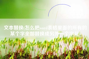 文本替换(怎么把word表格里面的所有的某个字全部替换成另外一个字儿)