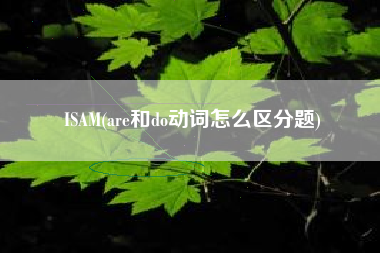 ISAM(are和do动词怎么区分题)