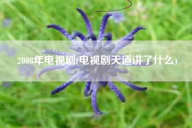 2008年电视剧(电视剧天道讲了什么)