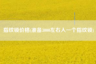 指纹锁价格(准备3000左右入一个指纹锁)