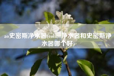 ao史密斯净水器(colmo净水器和史密斯净水器哪个好)