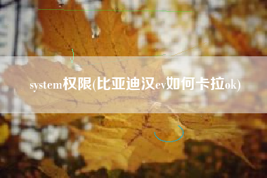 system权限(比亚迪汉ev如何卡拉ok)