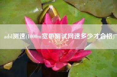 adsl测速(1000m宽带测试网速多少才合格)
