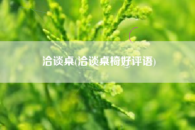 洽谈桌(洽谈桌椅好评语)