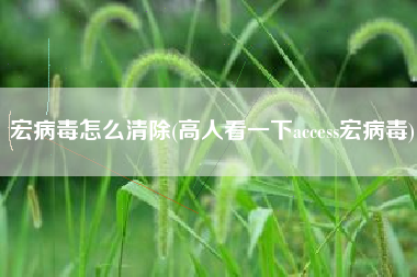 宏病毒怎么清除(高人看一下access宏病毒)
