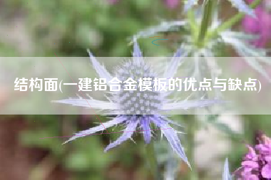 结构面(一建铝合金模板的优点与缺点)