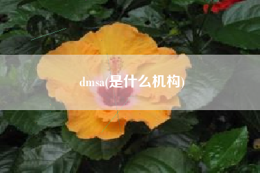 dmsa(是什么机构)