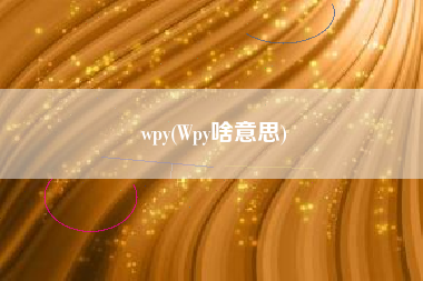 wpy(Wpy啥意思)