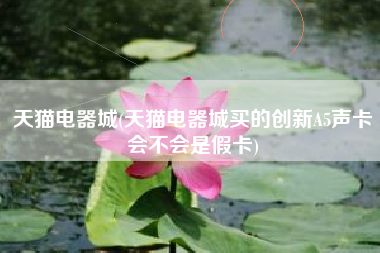 天猫电器城(天猫电器城买的创新A5声卡会不会是假卡)