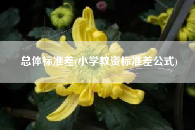 总体标准差(小学教资标准差公式)