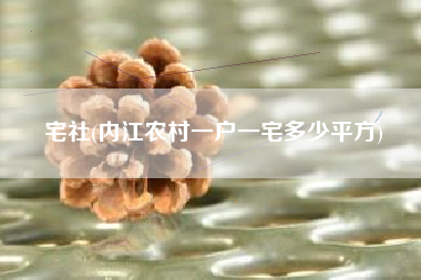 宅社(内江农村一户一宅多少平方)