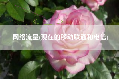 网络流量(现在的移动联通和电信)