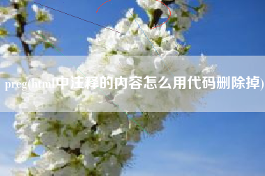 preg(html中注释的内容怎么用代码删除掉)