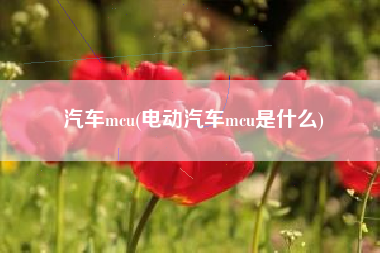 汽车mcu(电动汽车mcu是什么)