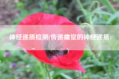 神经递质检测(传递痛觉的神经递质)
