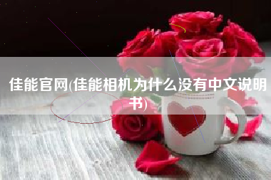 佳能官网(佳能相机为什么没有中文说明书)