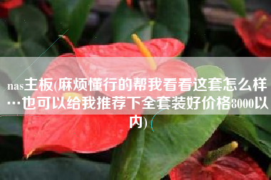 nas主板(麻烦懂行的帮我看看这套怎么样…也可以给我推荐下全套装好价格8000以内)