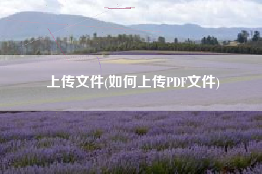 上传文件(如何上传PDF文件)