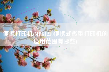 便携打印机(MPK1230便携式微型打印机的适用范围有哪些)