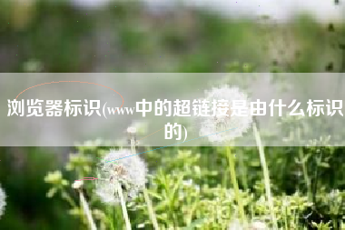 浏览器标识(www中的超链接是由什么标识的)