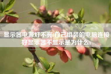 显示器电源灯不亮(自己组装的电脑连接好显示器不显示是为什么)
