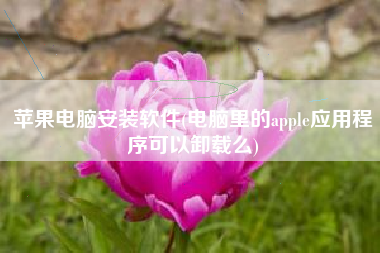 苹果电脑安装软件(电脑里的apple应用程序可以卸载么)