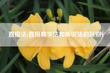 直接法(直接教学法和听说法的区别)