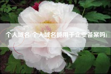 个人域名(个人域名能用于企业备案吗)