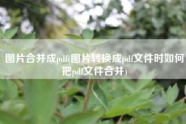 图片合并成pdf(图片转换成pdf文件时如何把pdf文件合并)