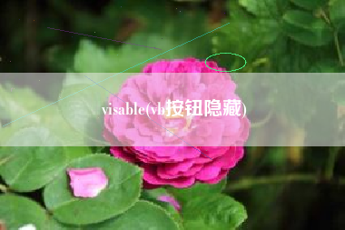 visable(vb按钮隐藏)
