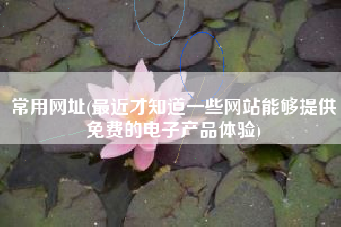 常用网址(最近才知道一些网站能够提供免费的电子产品体验)