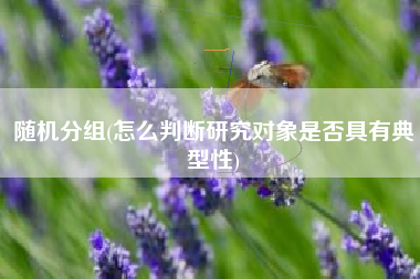 随机分组(怎么判断研究对象是否具有典型性)