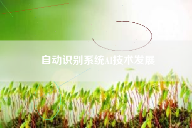 自动识别系统AI技术发展