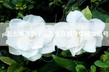 ps怎么修改数字(ps怎么在数字中间加逗号)