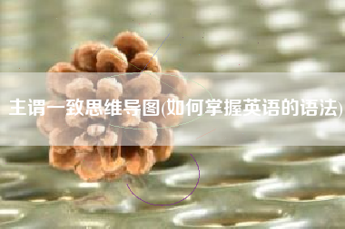 主谓一致思维导图(如何掌握英语的语法)